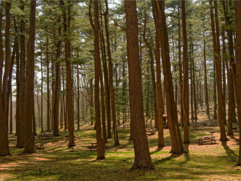 sudoku problem solving screenshot 3