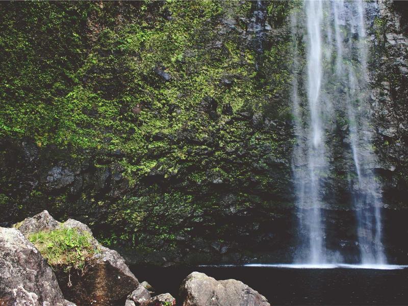 sudoku focus mode screenshot 5