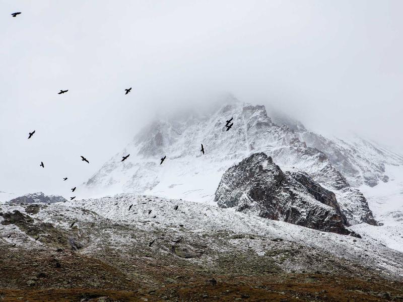 sudoku focus mode screenshot 2